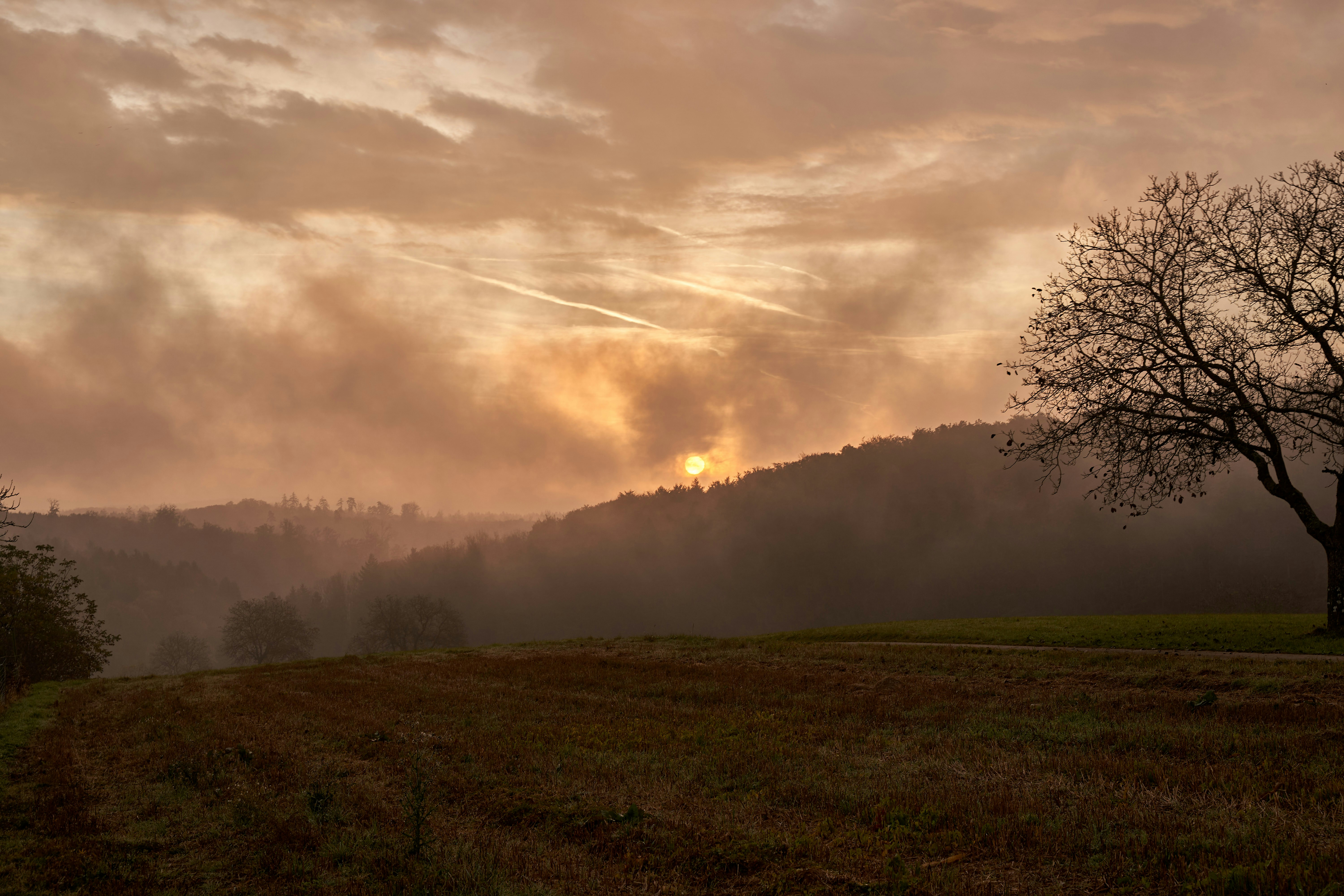 Photo by wolfgang_hasselmann