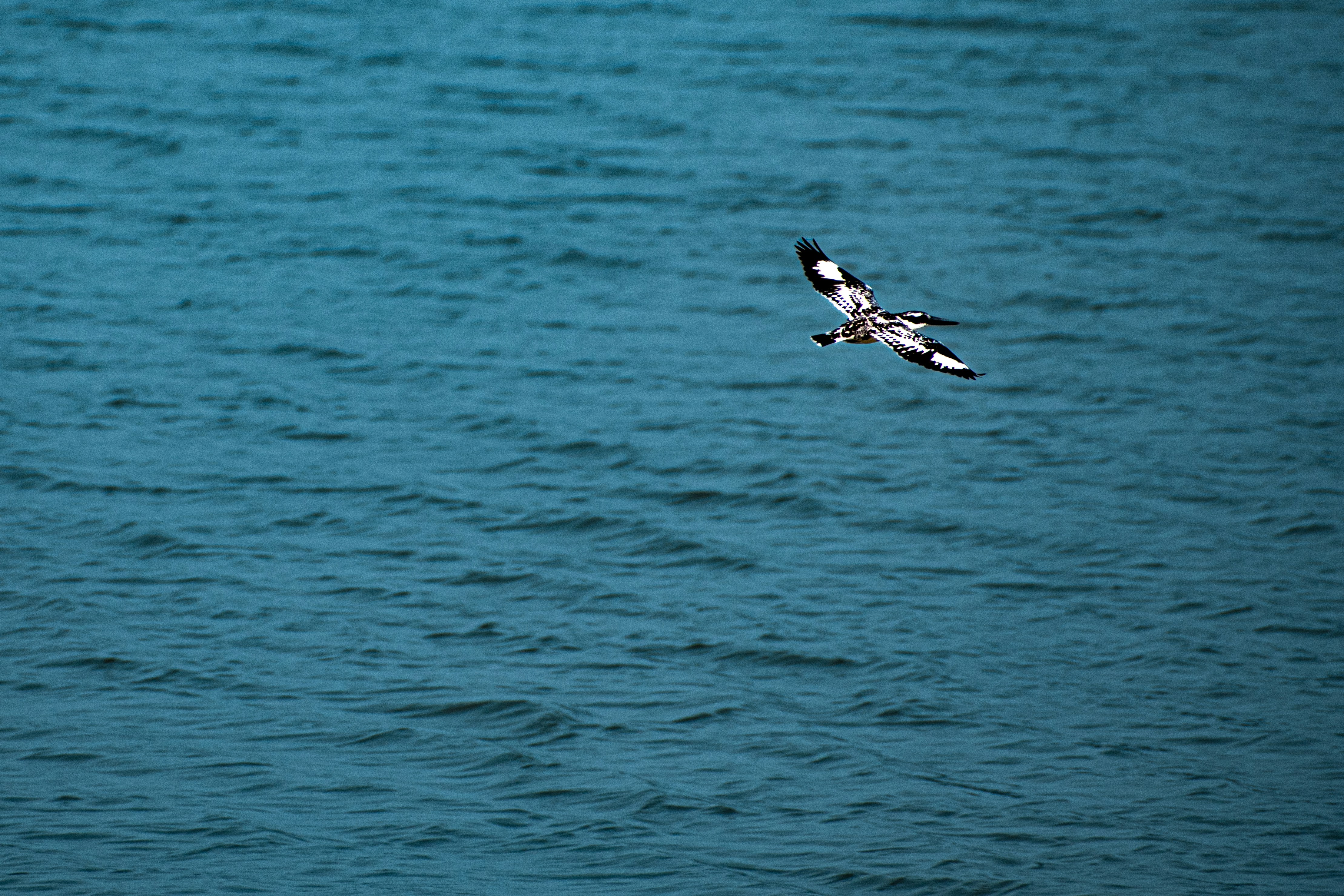 Photo by arpit_dhore