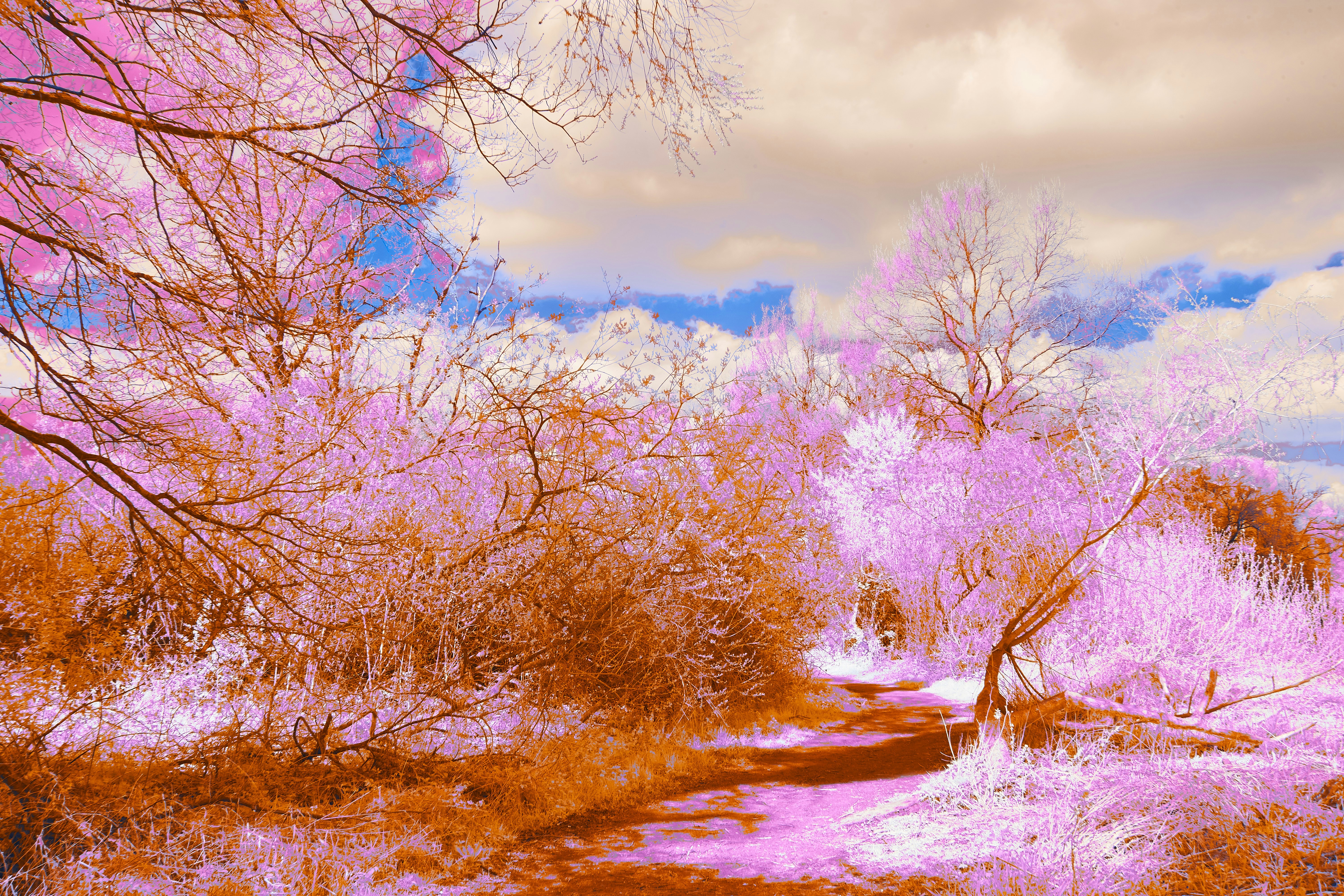 Photo by wolfgang_hasselmann