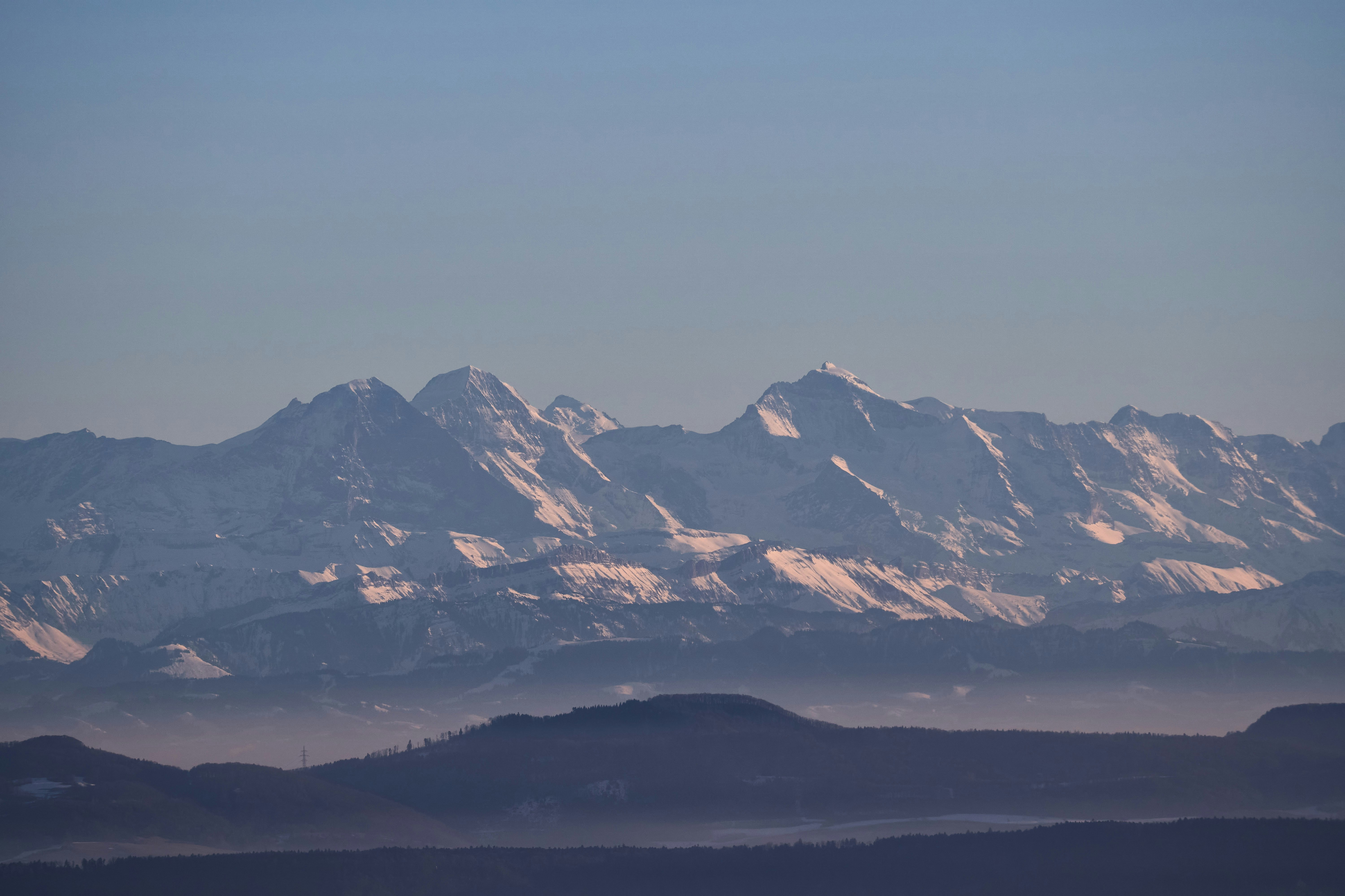 Photo by wolfgang_hasselmann