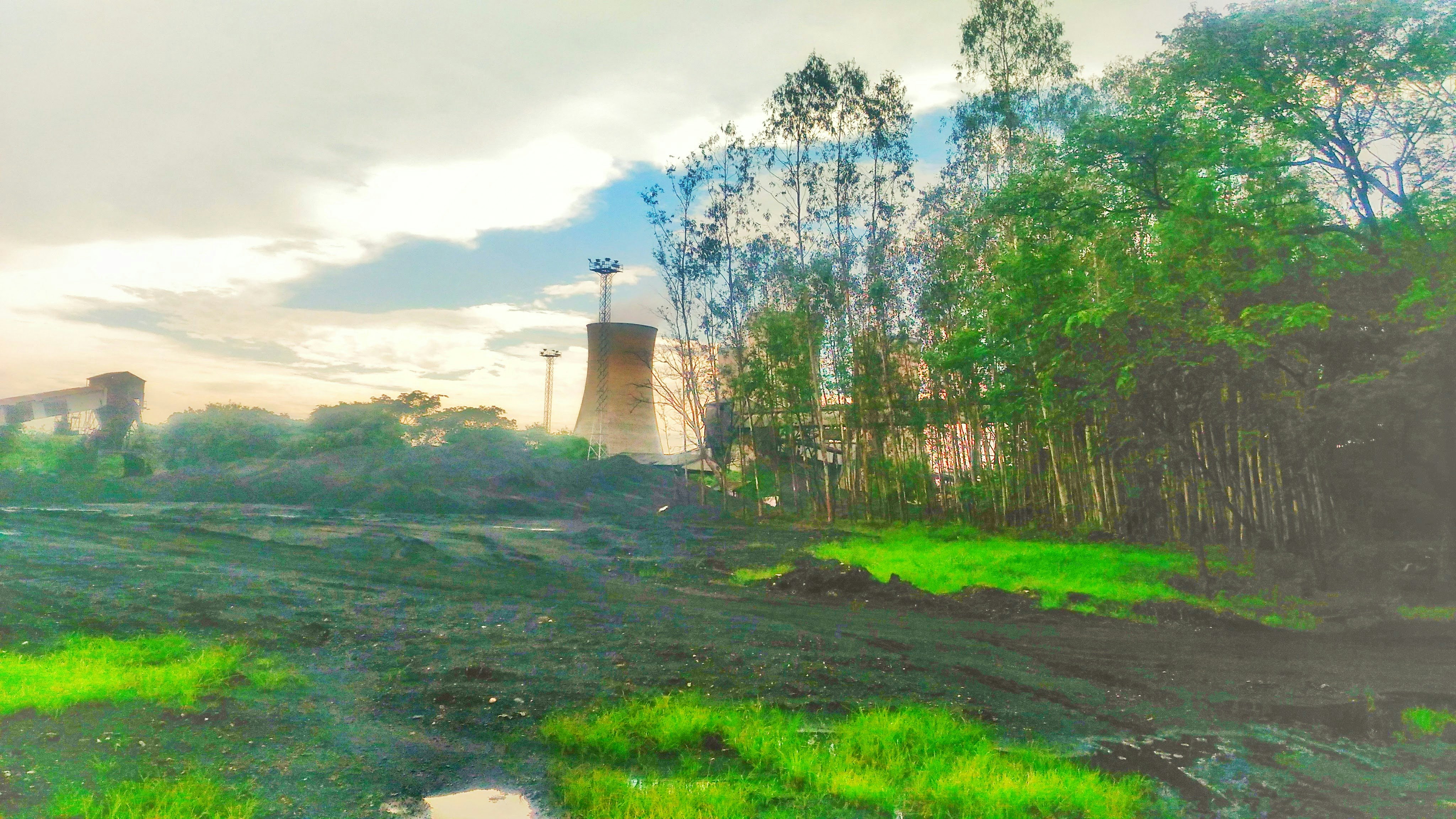 a green field with a tower in the background