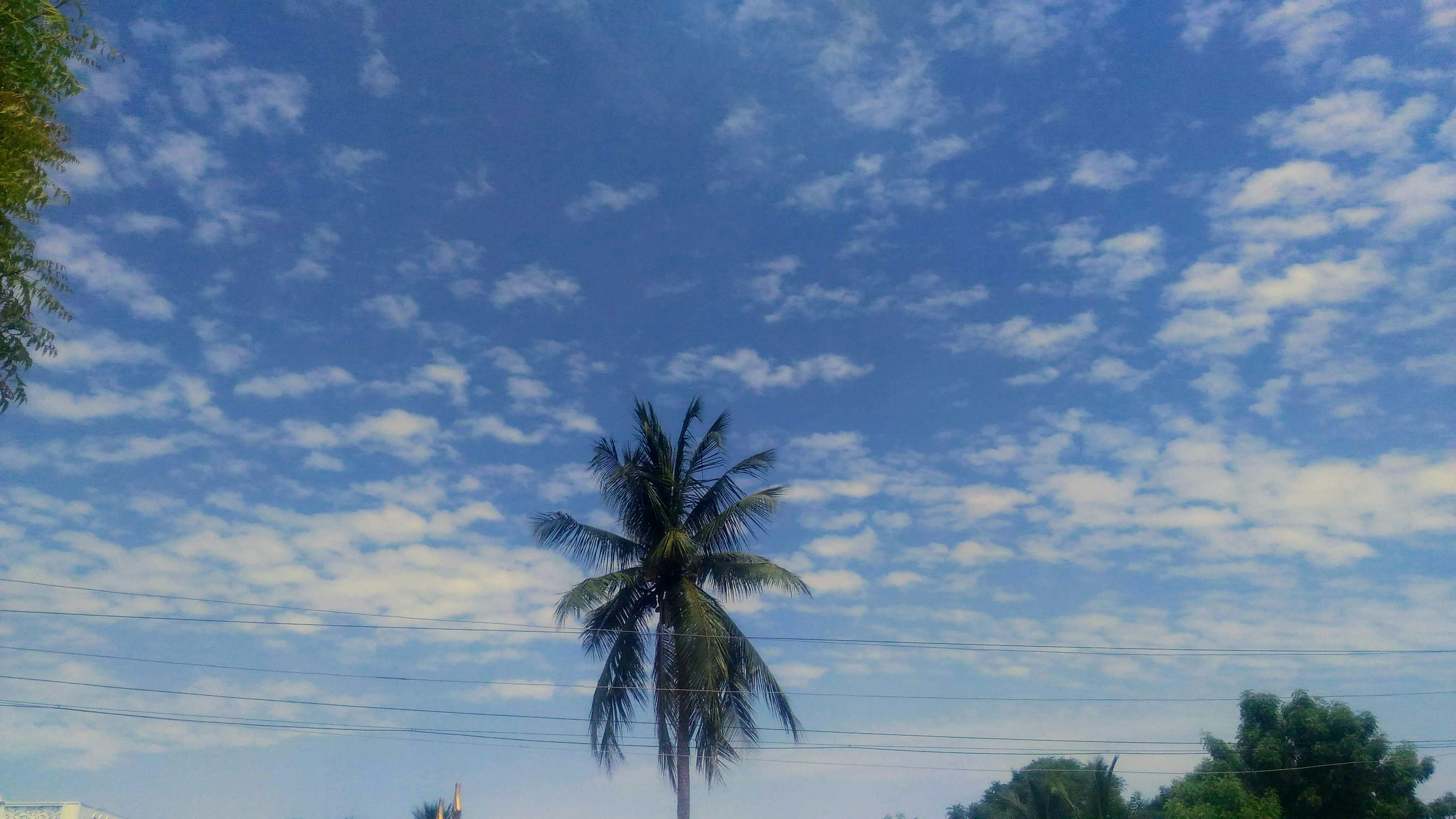 Photo by pavan8080