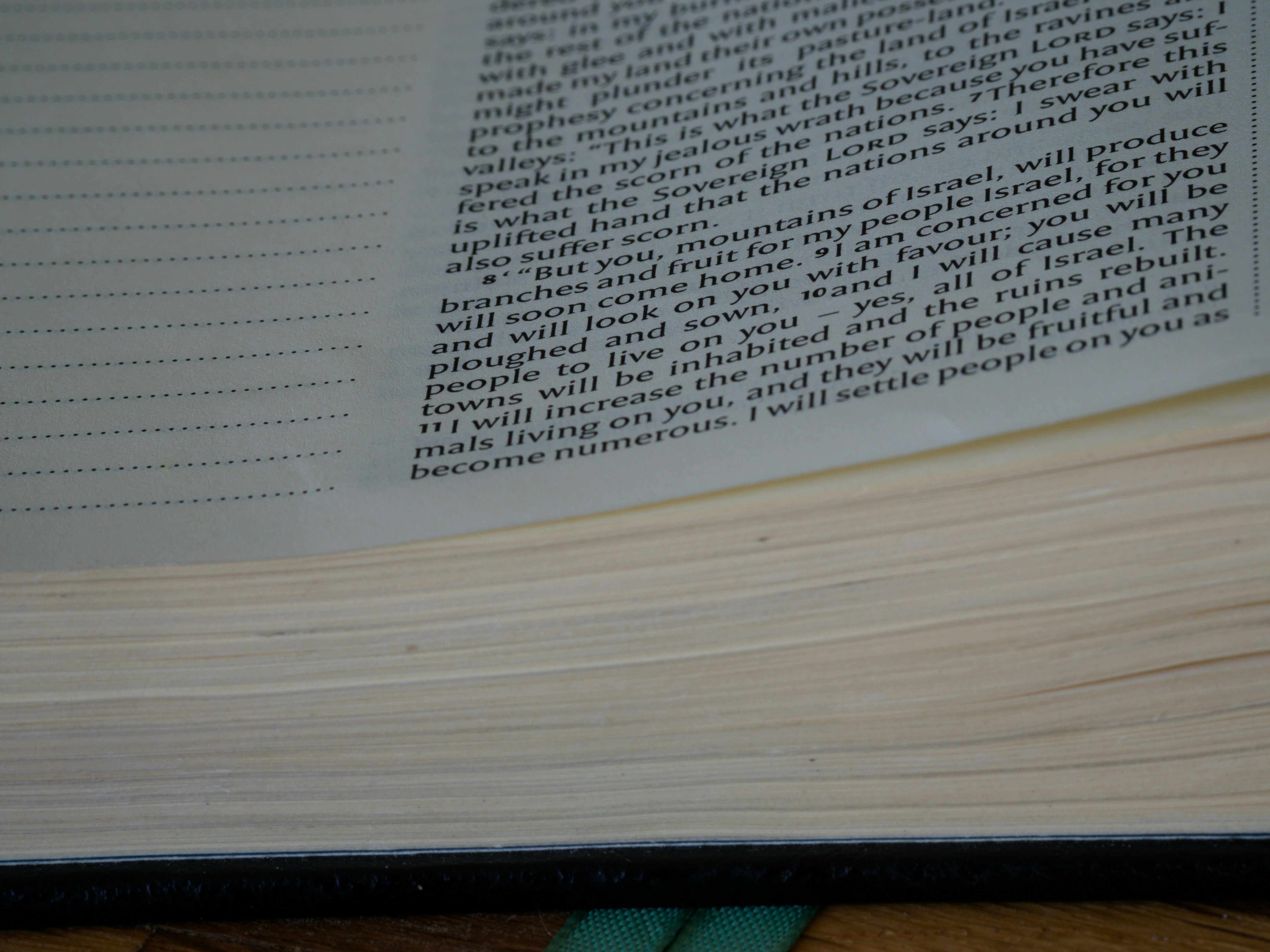 Photo by brett_jordan