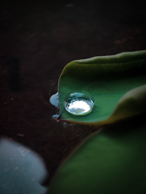 A clear water droplet reflecting a serene lion in a vibrant wild landscape.