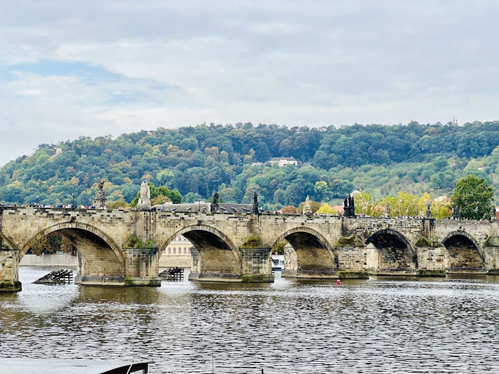 a bridge over a body of water with a mountain in the background