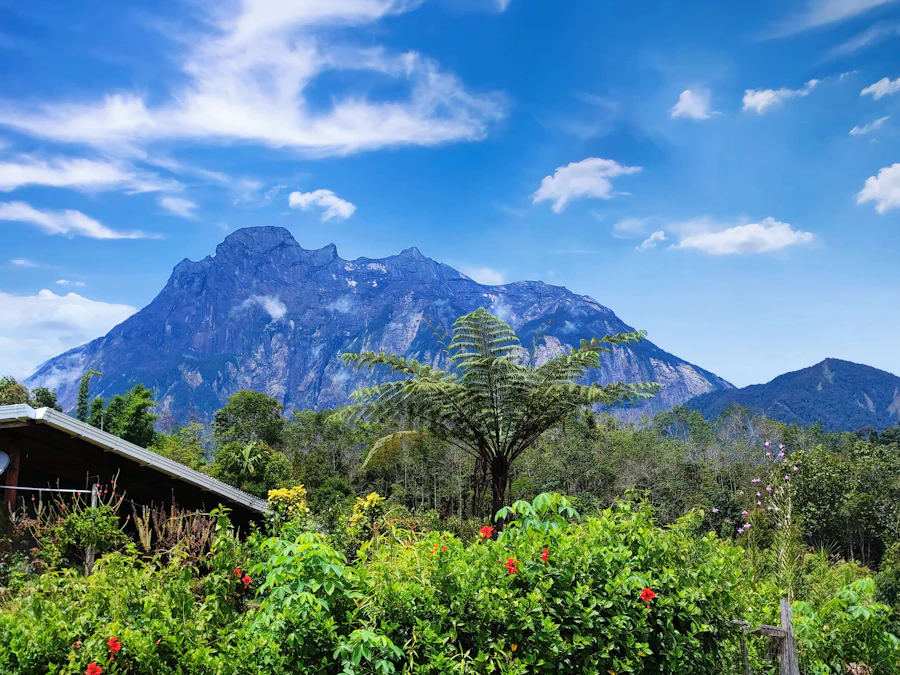 Der zerklüftete Gipfel des Gunung Kinabalu über bewaldeten Hängen
