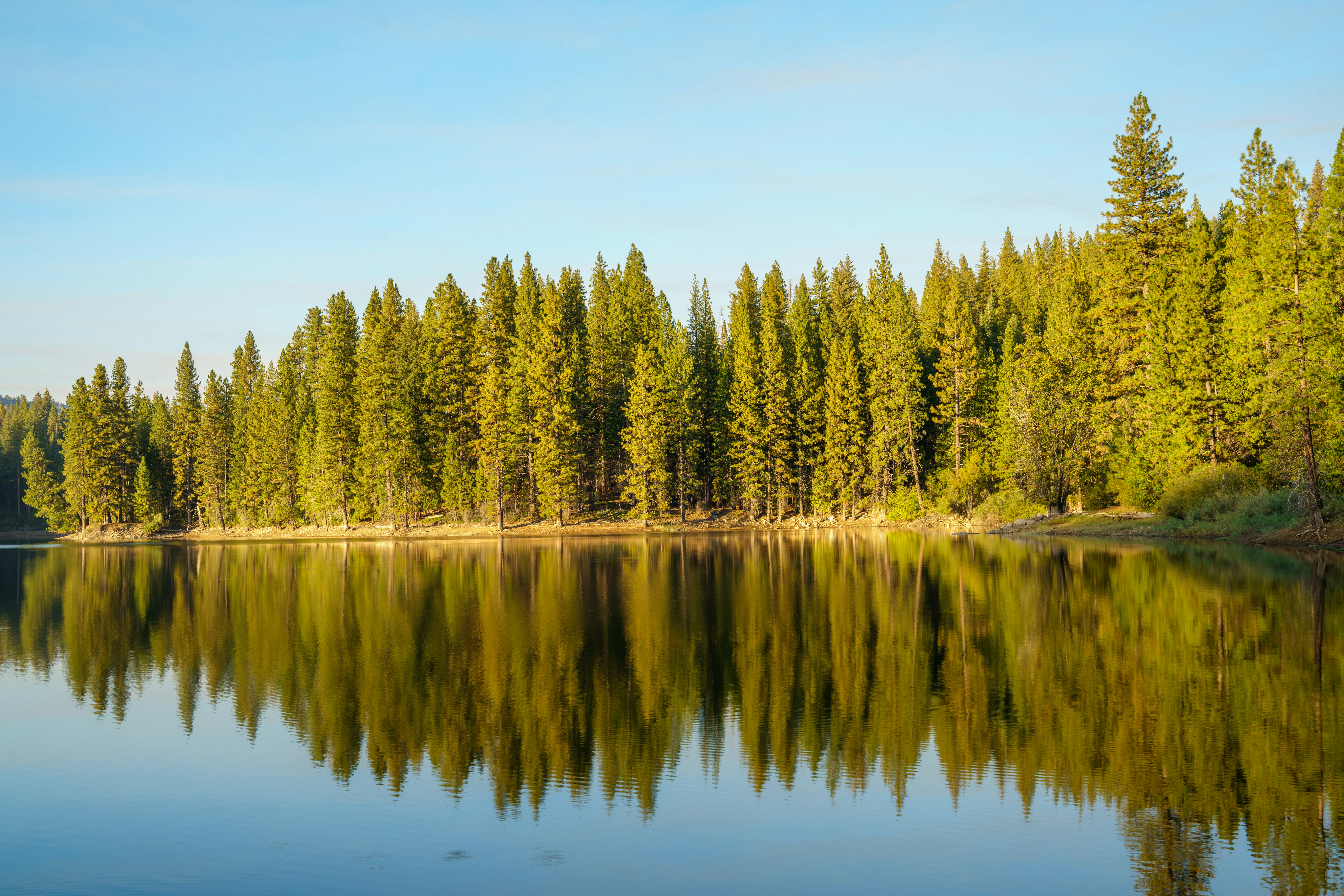 Photo by happy_pixel