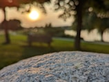 A serene outdoor setting with a beautiful sunset backdrop.