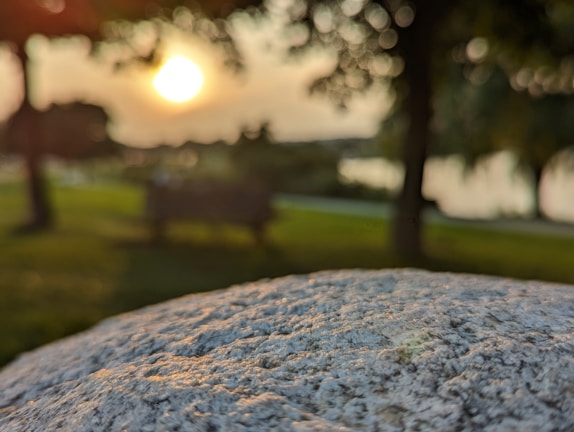 A serene outdoor scene with a sunset backdrop.