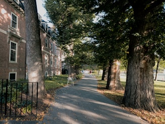 A serene walking path winding through the residential plots with mature trees.