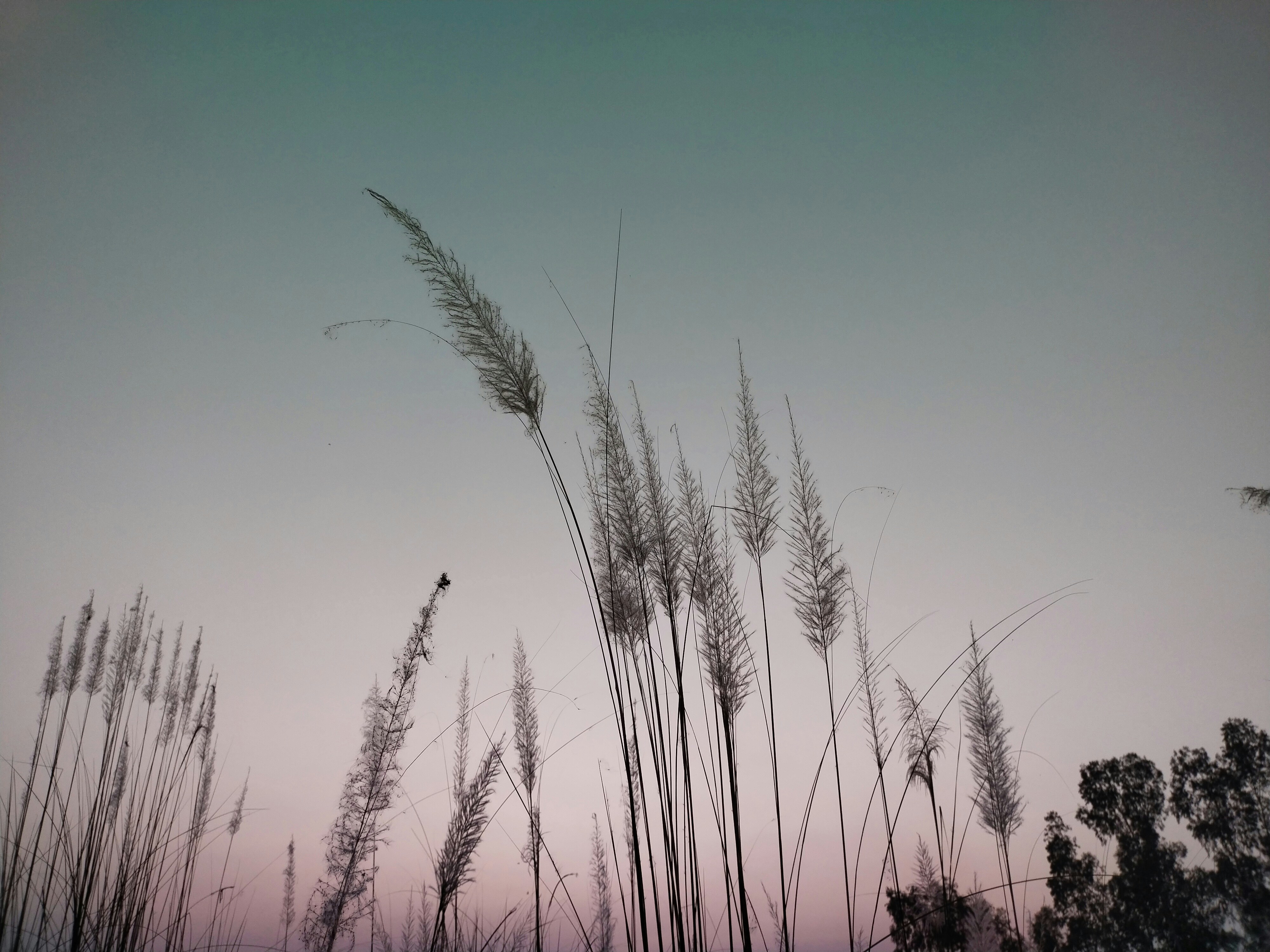 Photo by sydinrahman