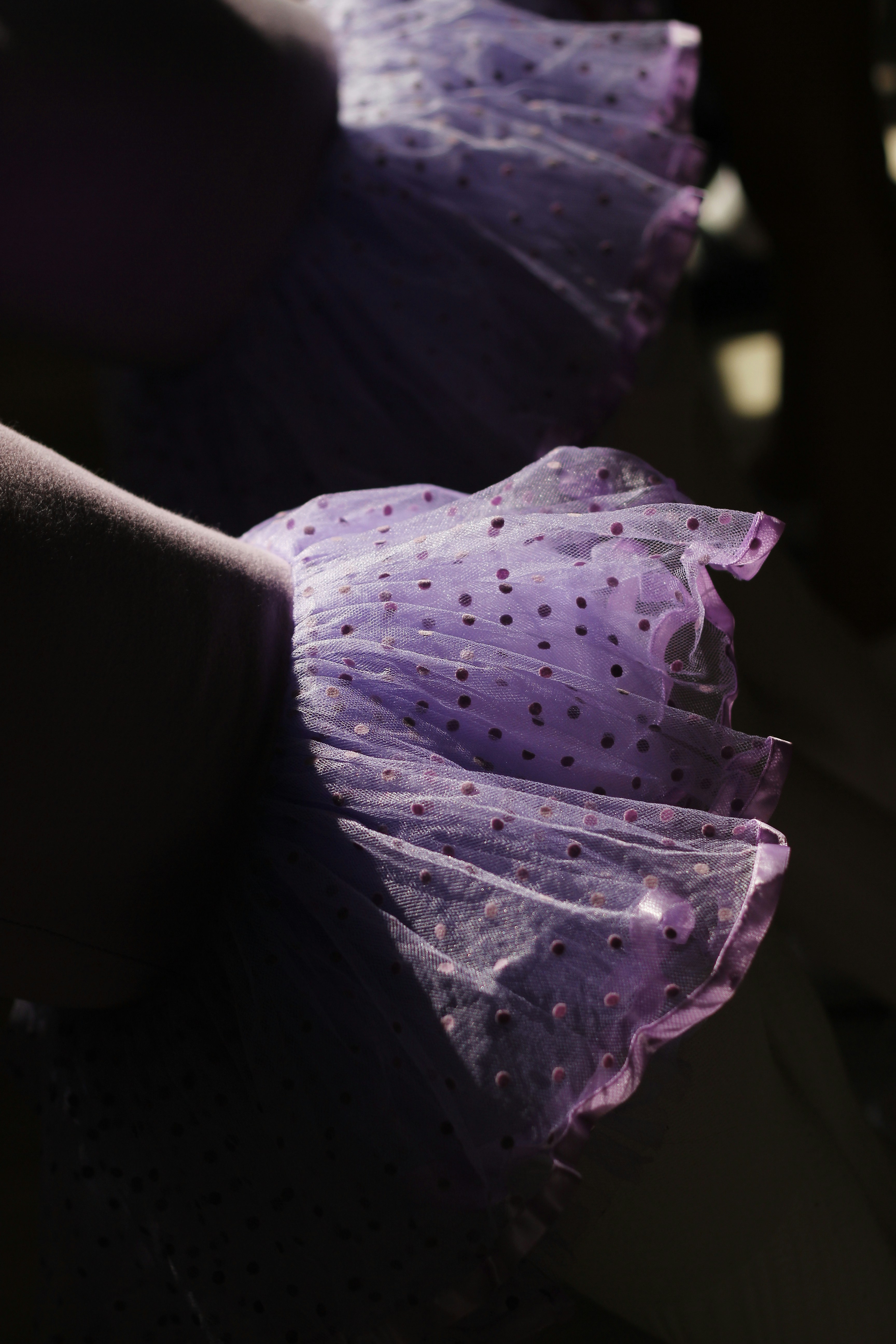 Photo by baranlotfollahi