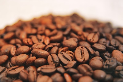 Close-up of freshly roasted coffee beans with a warm, soft light.
