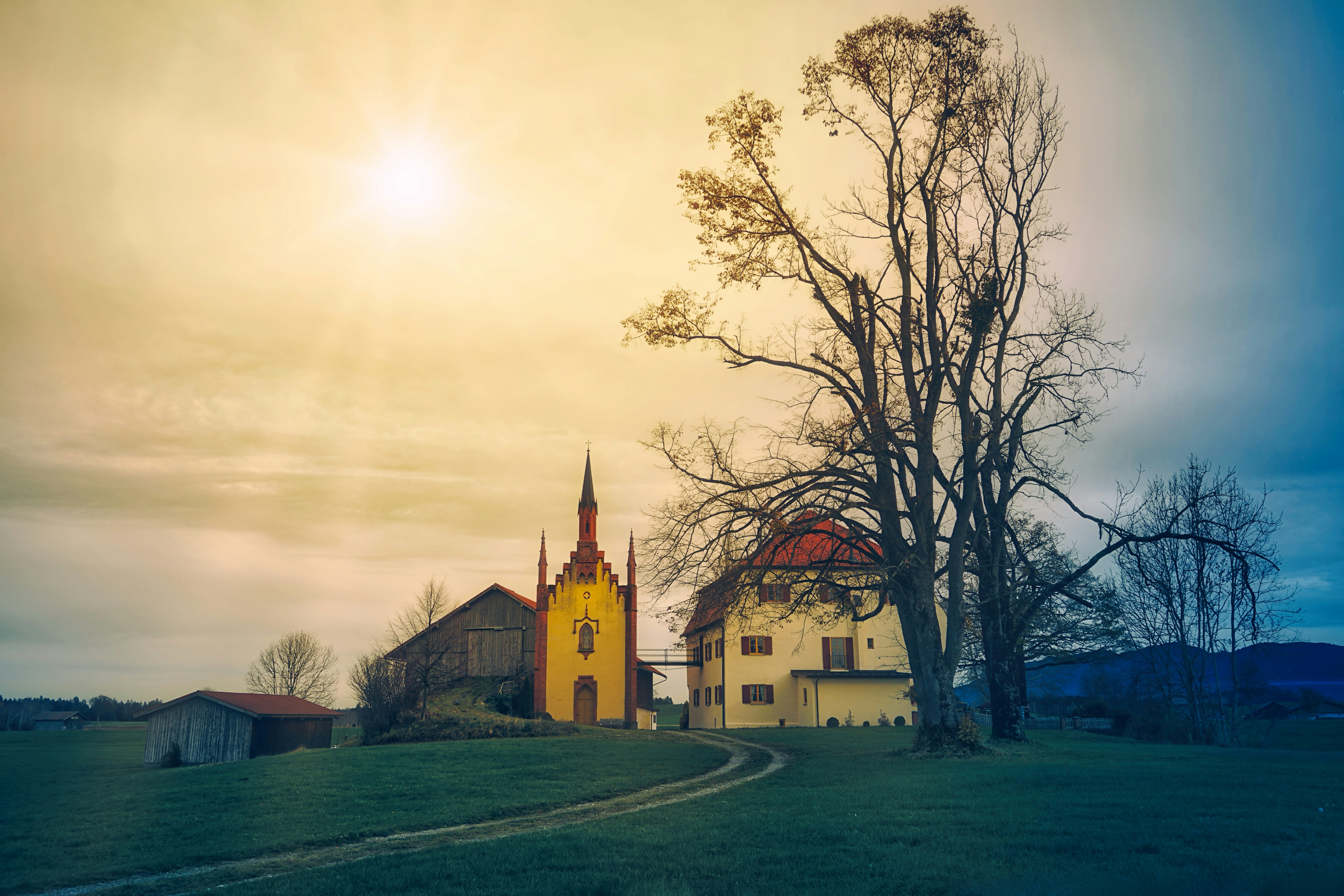 a church with a steeple and a tree in the foreground