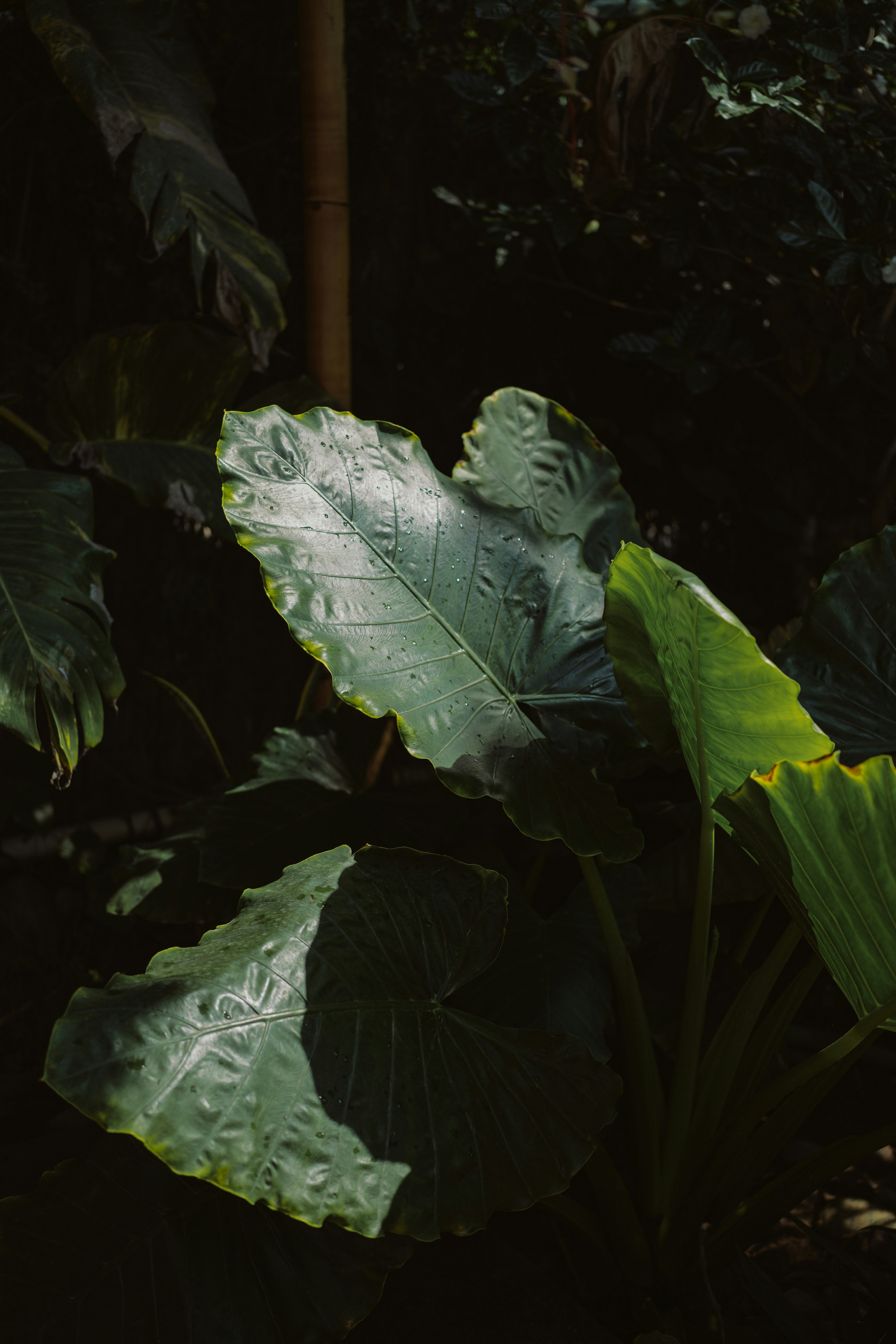 Photo by kateivanova__