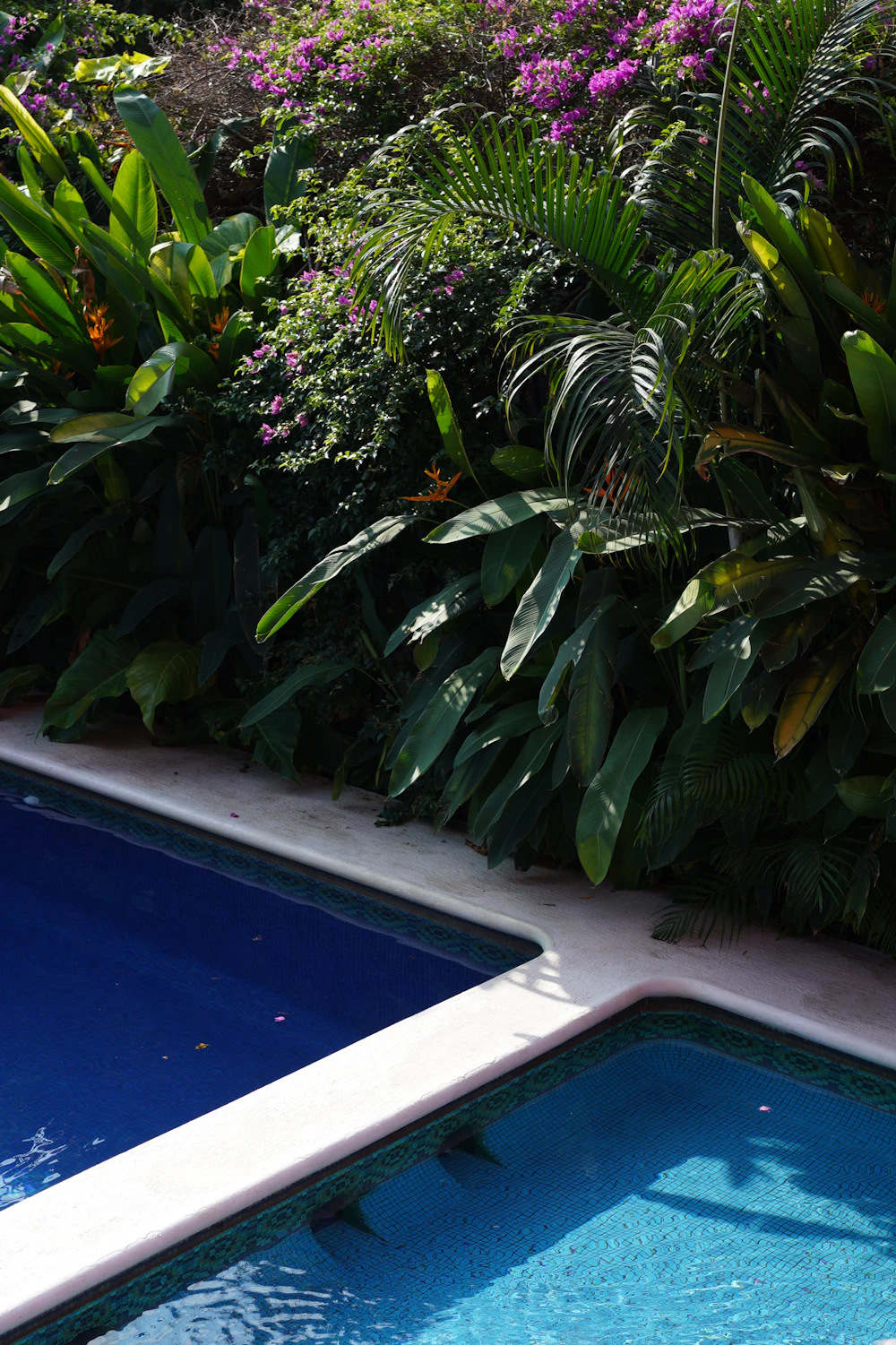 Designed garden bed with curated planting