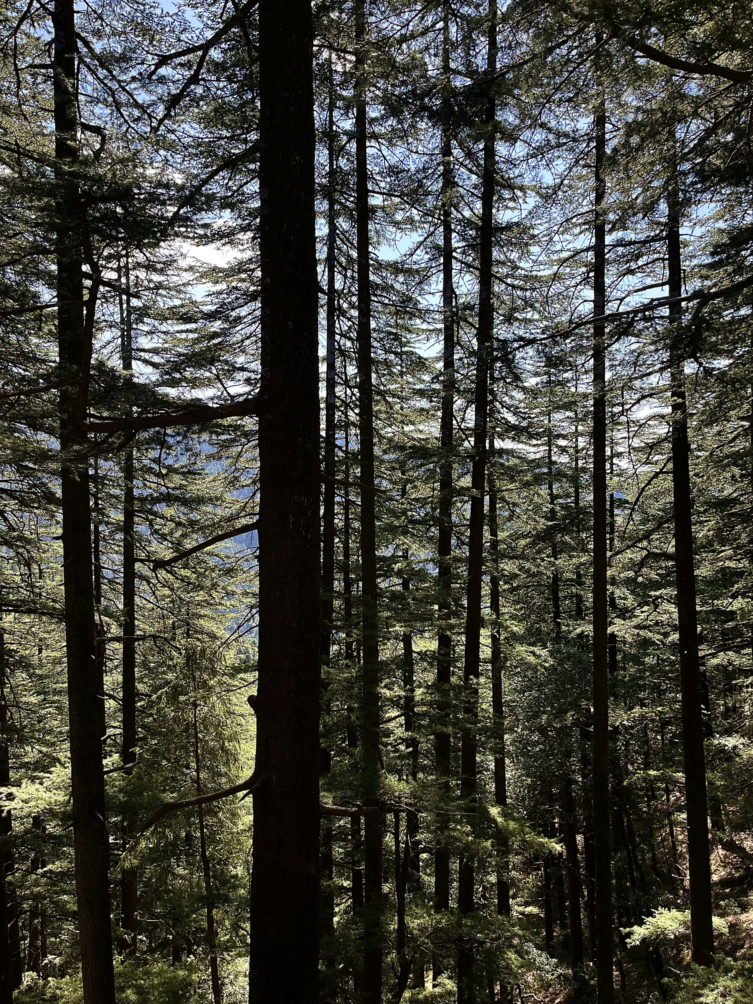 Photo by paras_aggarwal