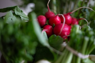 Close-up of fresh, vibrant vegetables harvested from Renner Inc.'s fields.