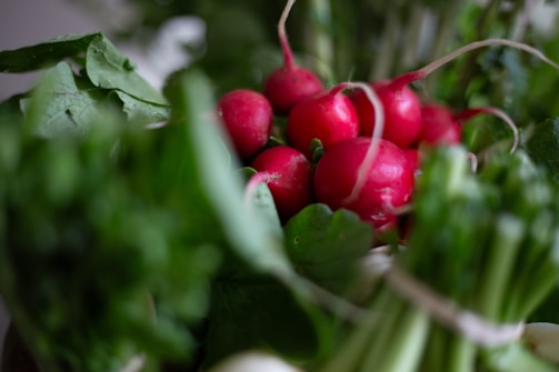Close-up of fresh, vibrant vegetables harvested from Renner Inc.'s fields.