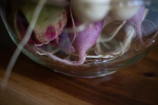 Close-up of freshly harvested root vegetables resting on raw stone with soil and wood textures softly blurred in natural daylight.