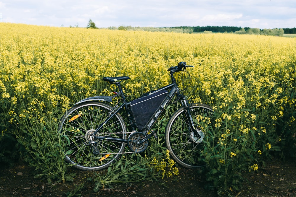 a bicycle parked in a field of yellow flowers