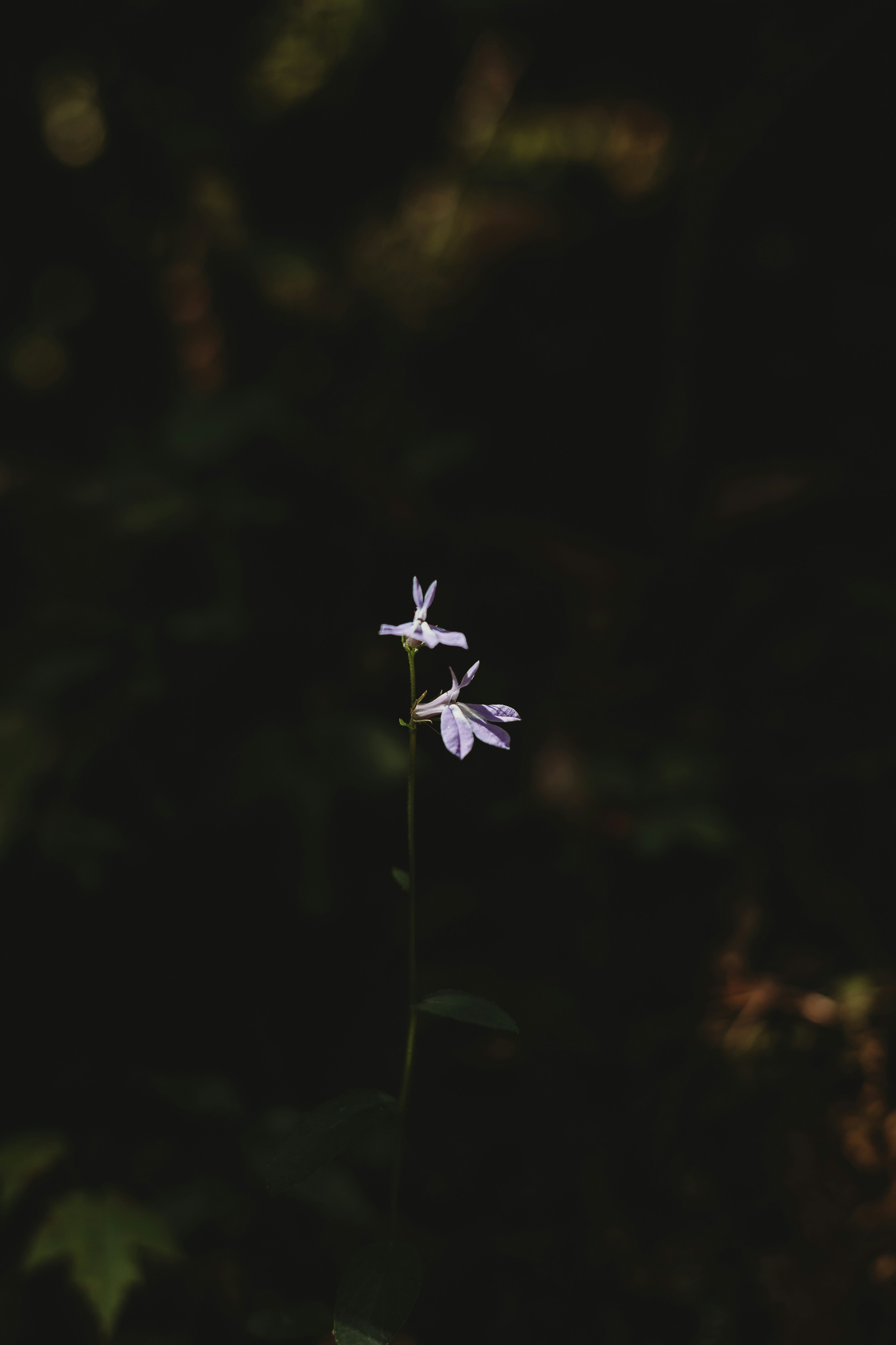 Photo by sallywilliams
