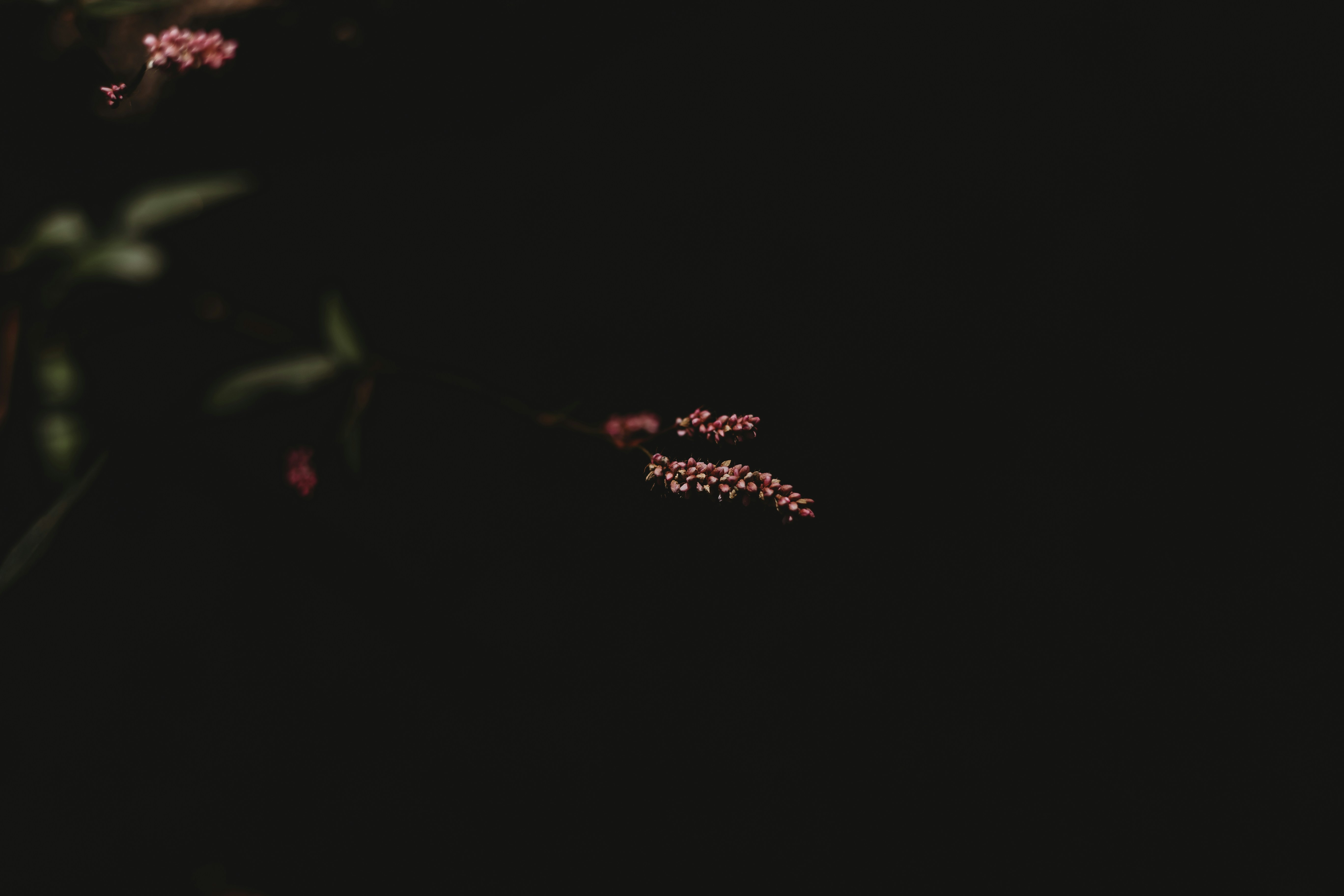 Photo by sallywilliams