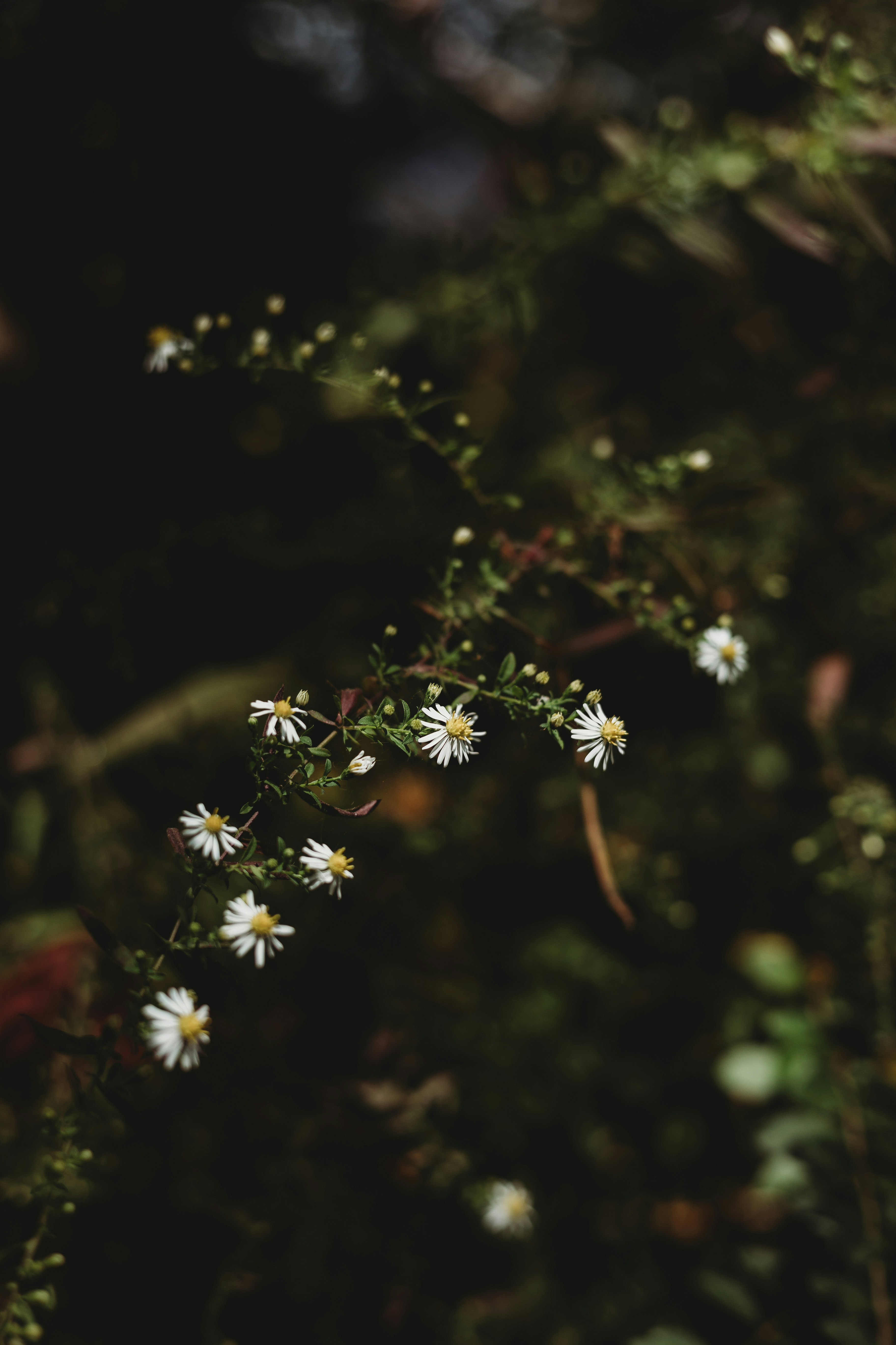 Photo by sallywilliams