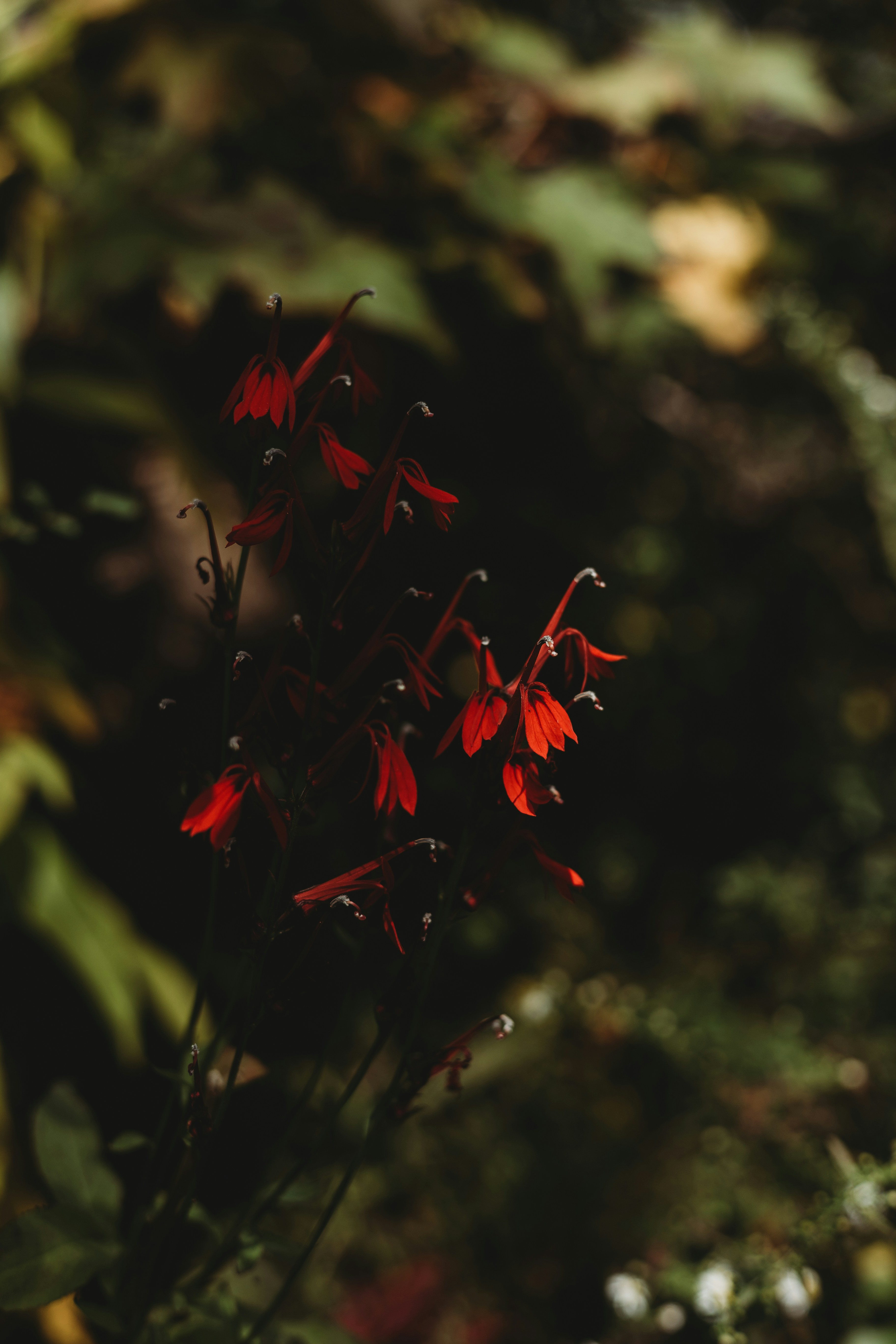 Photo by sallywilliams