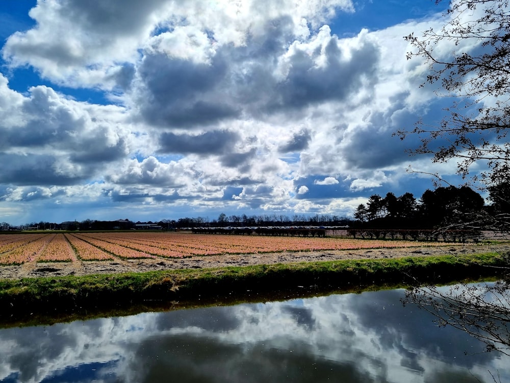 a large field of grass next to a body of water