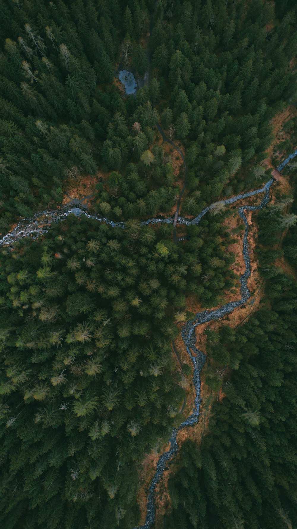 an aerial view of a river running through a forest