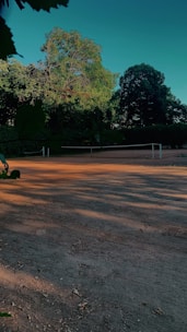 A well-maintained tennis court nestled among trees at the domaine.
