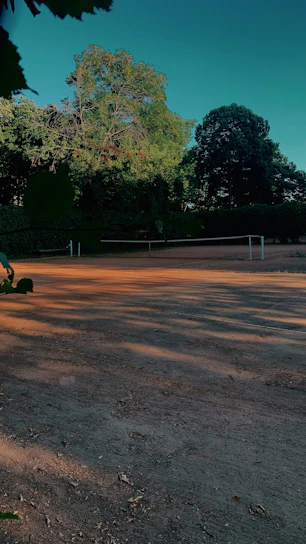 A pristine clay tennis court bathed in golden afternoon light, surrounded by lush green trees.