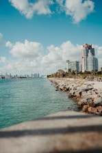 a view of a body of water with a city in the background
