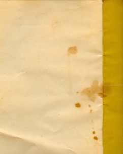 A faded red and blue government-style banner with the 'rm brownstains' seal in the center.