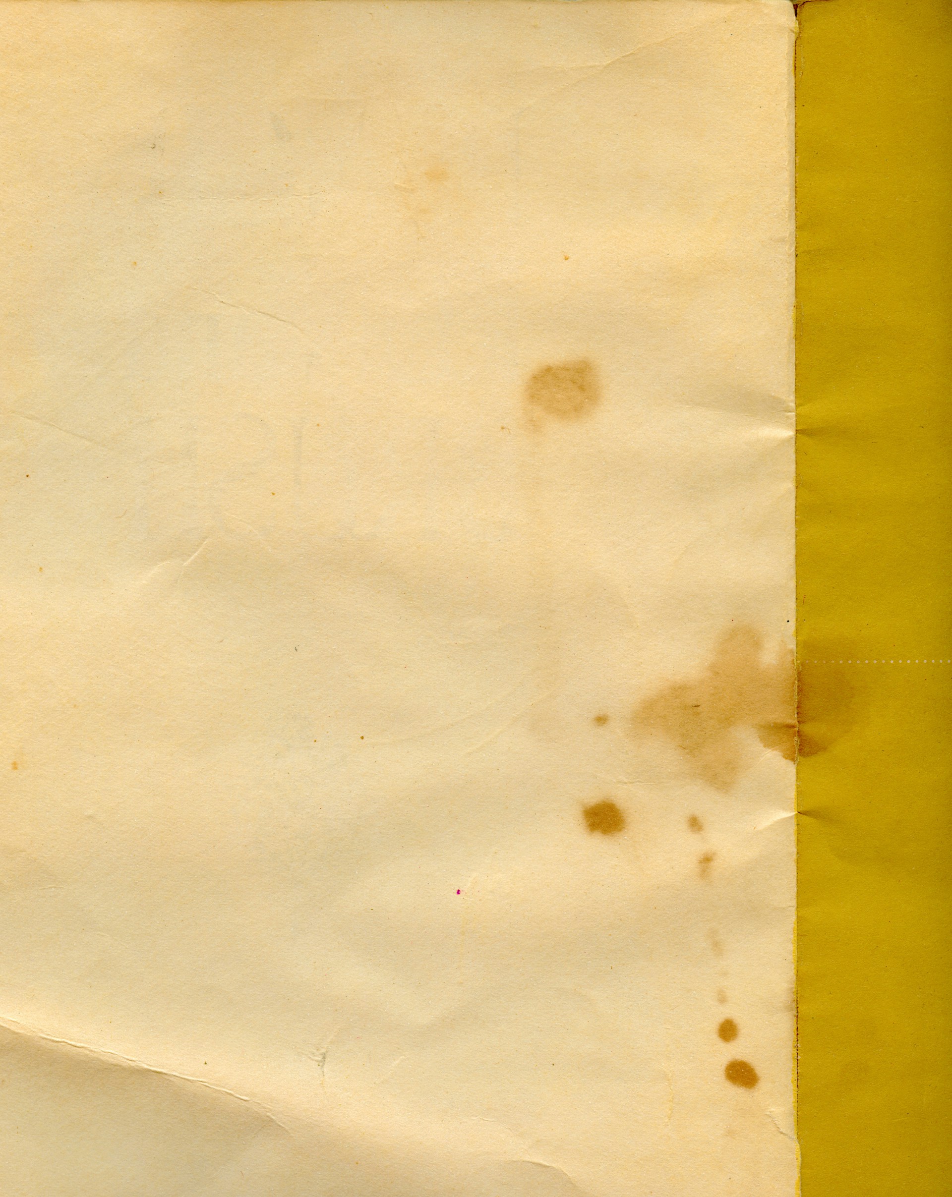 a piece of white paper with brown spots on it