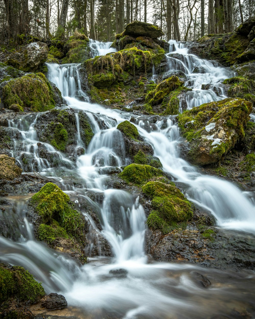 a small waterfall in the middle of a forest