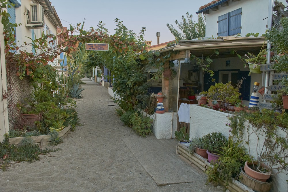 a narrow street with potted plants and a building in the background