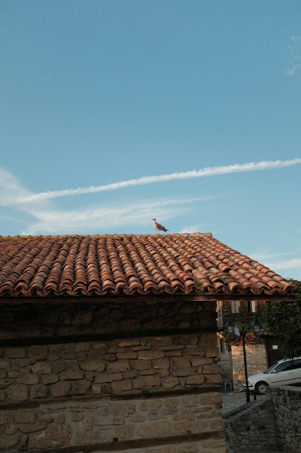 a bird is sitting on the roof of a building