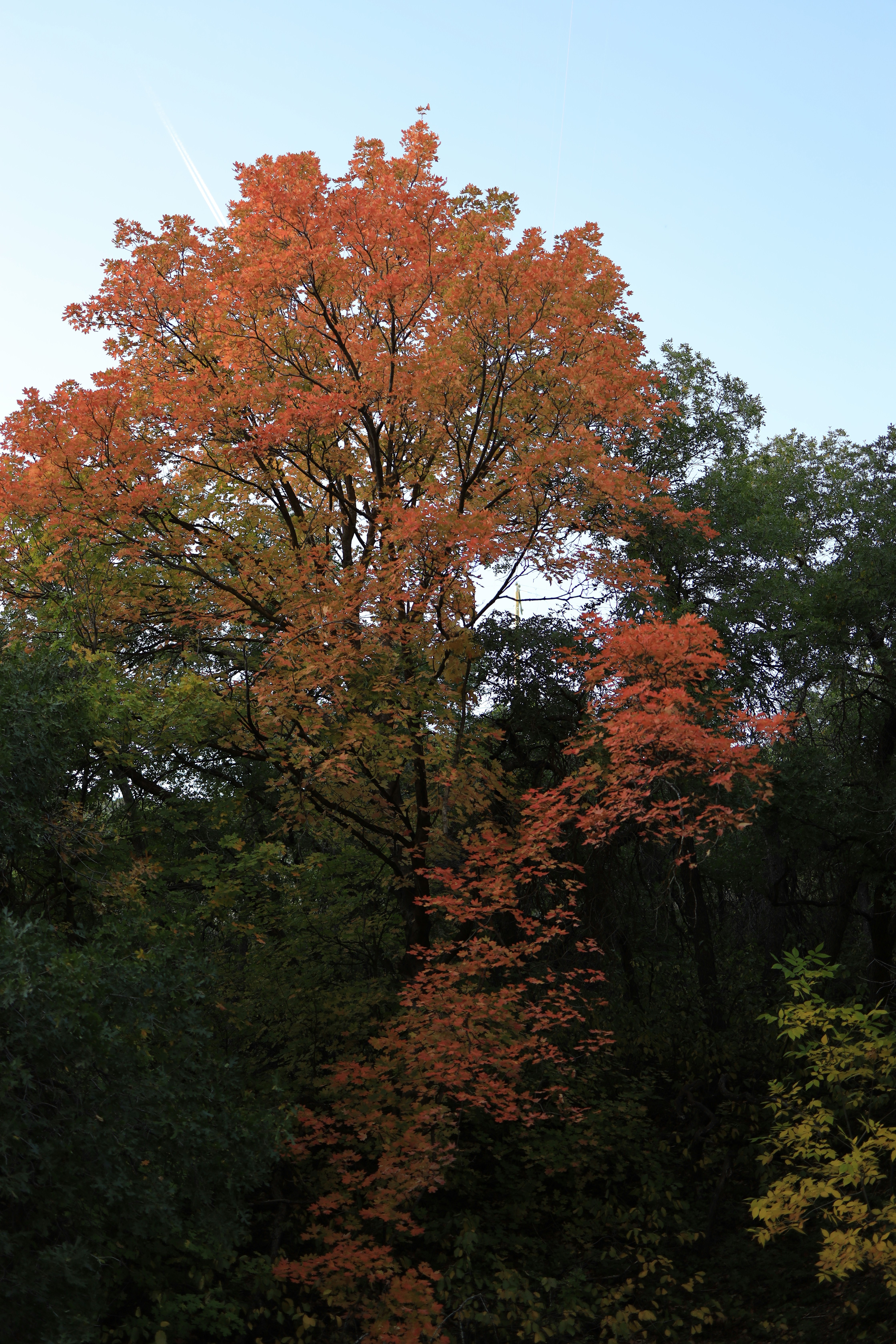 Photo by djburkephotography