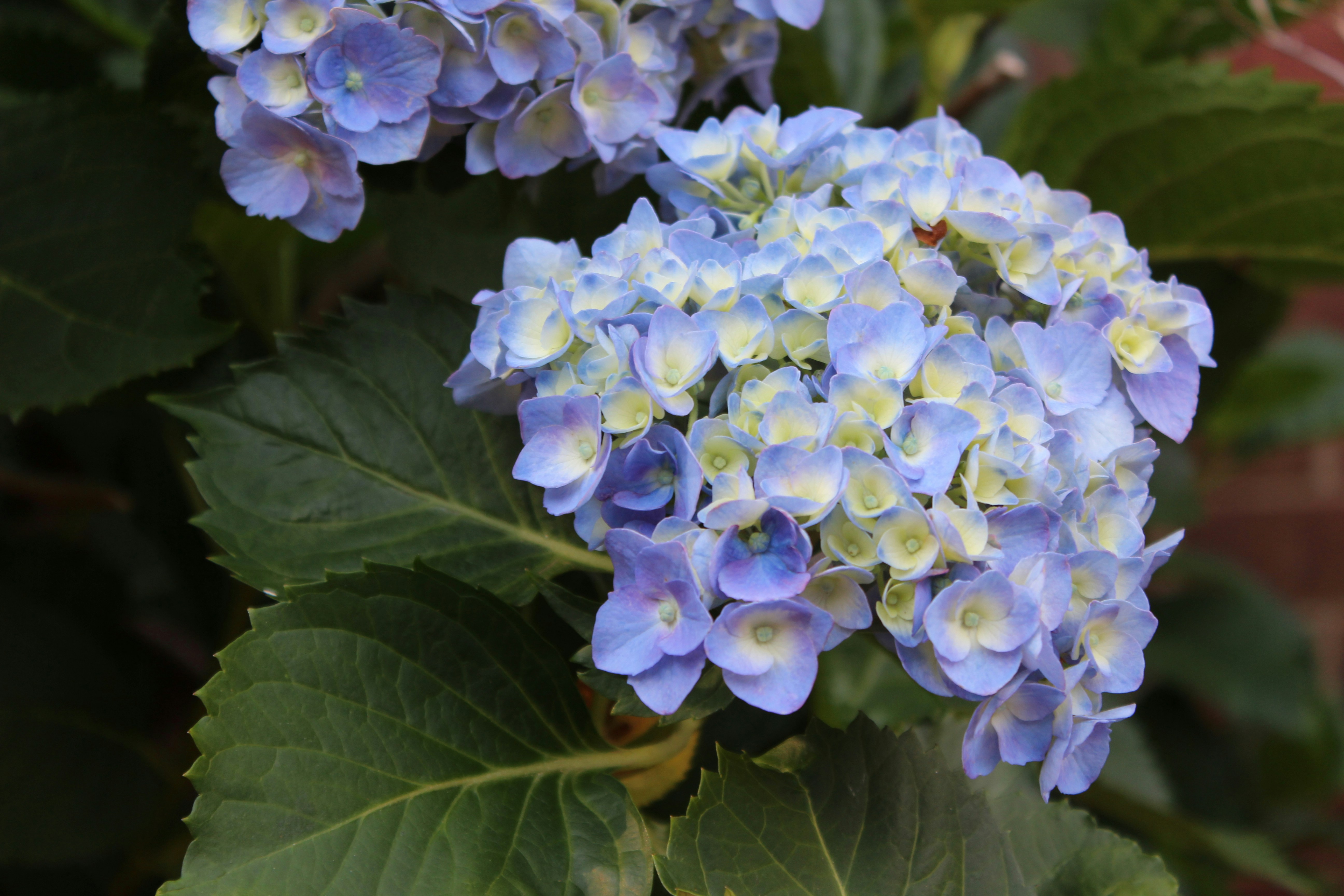 Photo by eubankchels