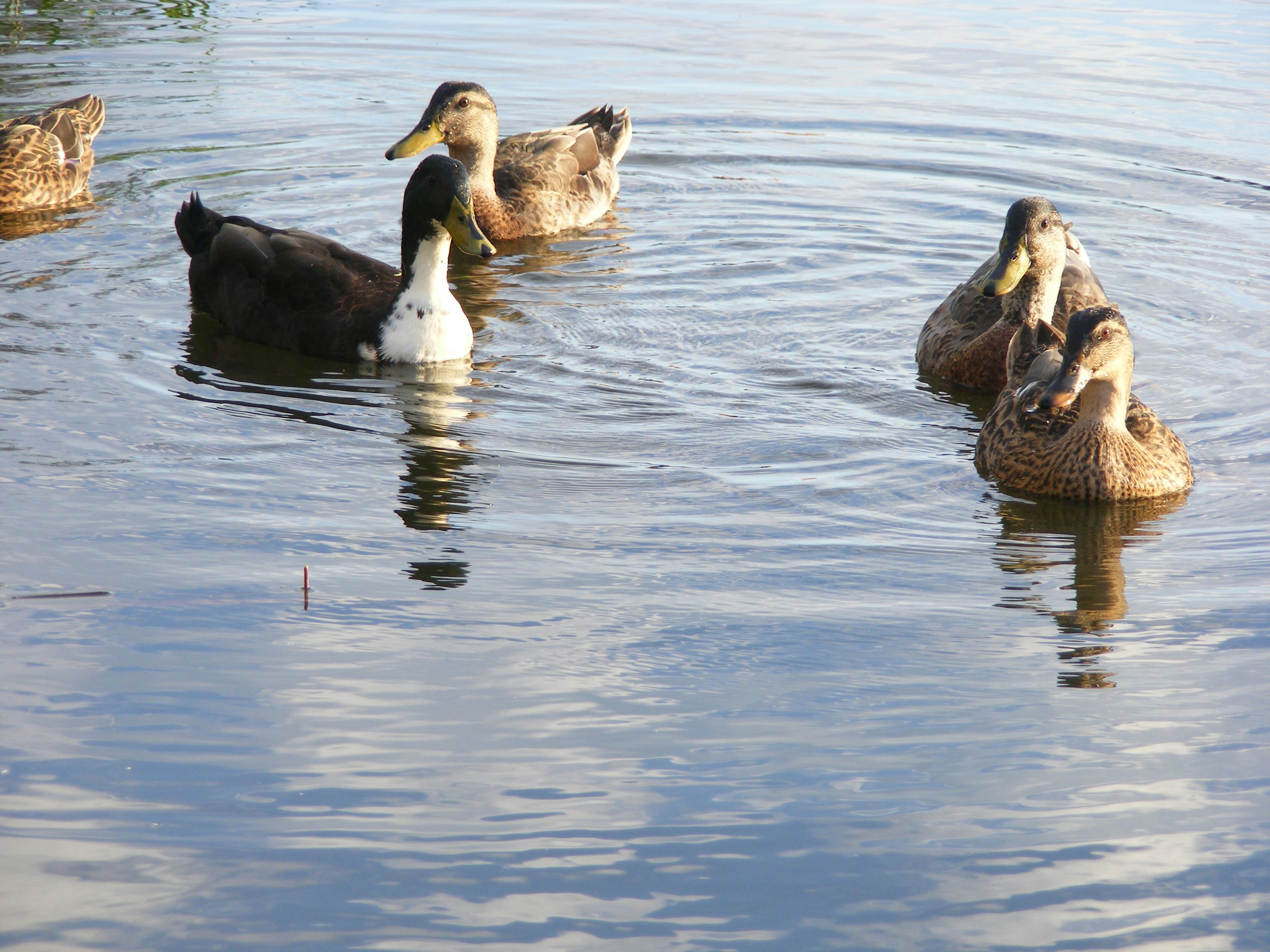 Photo by eubankchels