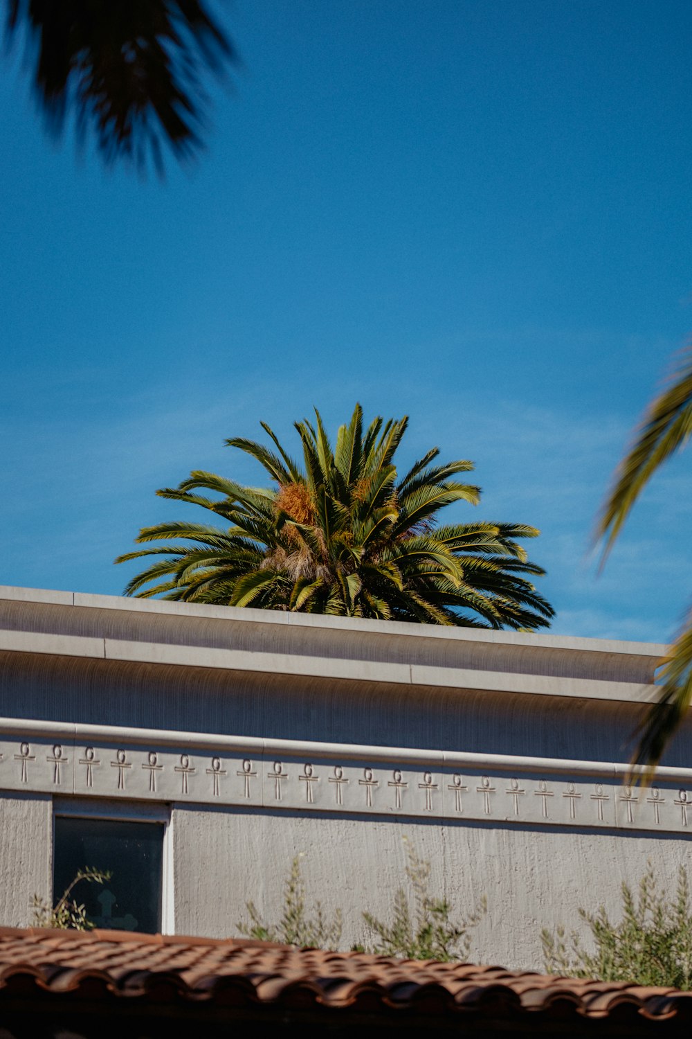 a building with a palm tree on top of it