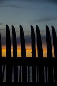 Sunset view of surfboards leaning against a wooden fence next to surf soaps displayed on a driftwood plank.