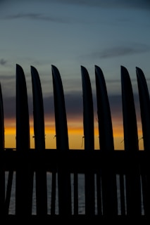Sunset view of surfboards leaning against a wooden fence next to surf soaps displayed on a driftwood plank.