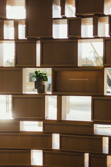 The image features a wall made of geometric wooden shelves with various rectangular cutouts allowing light to pass through. A small potted plant is placed on one of the shelves, providing a touch of greenery. The background shows a blurred outdoor scene. There is a subtle text on one shelf that reads 