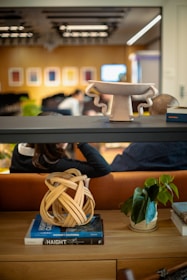 In the foreground, a wooden table displays a decorative wooden knot, a plant in a small pot, and books titled 'HIGHWAY 1 CALIFORNIA' and 'HAIGHT'. The background features an orange sofa with two people sitting, facing away. Above the sofa, a series of framed artworks adorn a wooden panel wall, and the ceiling has modern lighting fixtures.