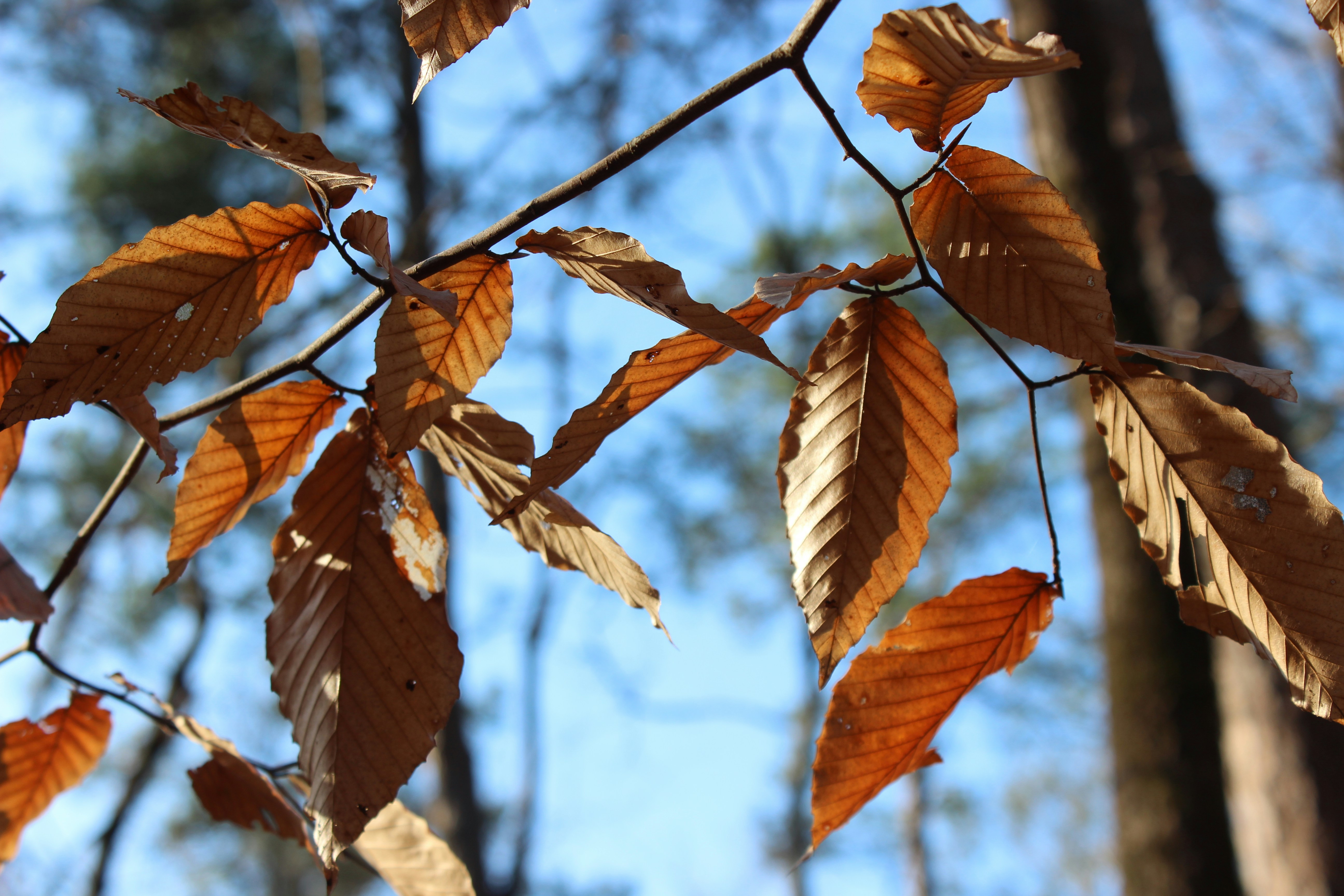 Photo by eubankchels