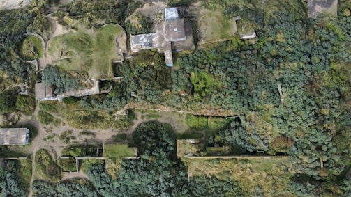 An aerial view of an overgrown, abandoned area with remnants of old concrete structures partially covered by dense greenery. The landscape features meandering pathways and patches of grass interspersed with bushes, suggesting a reclaimed natural environment.