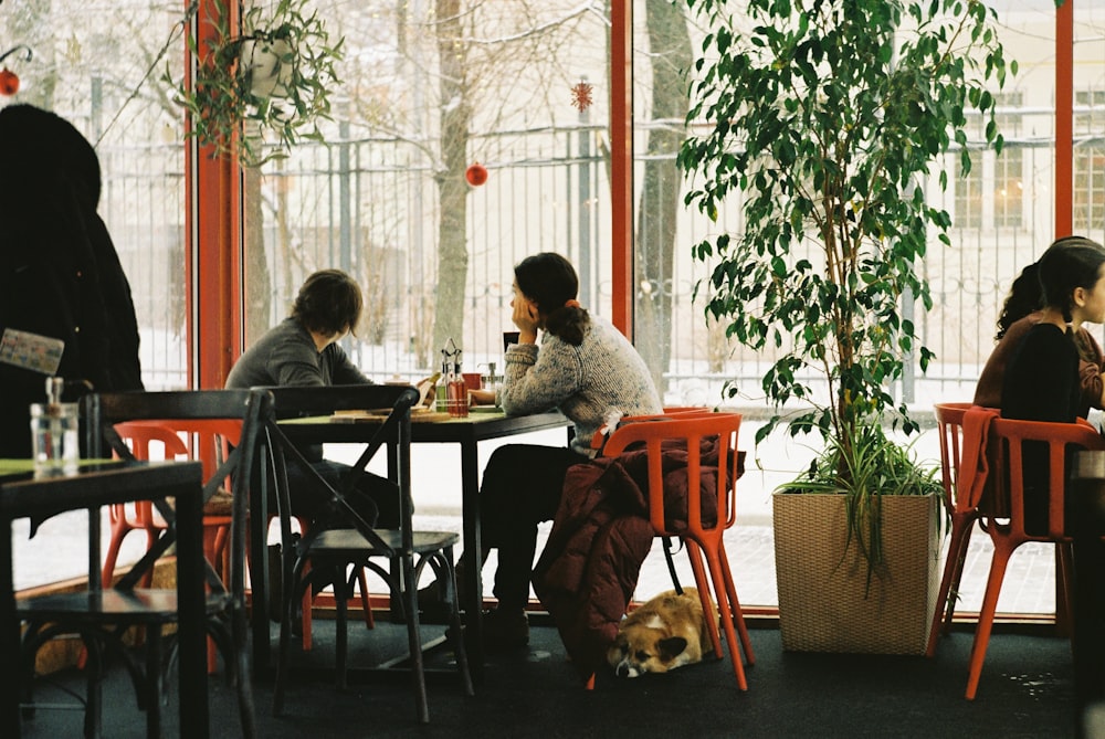 a group of people sitting at a table in a restaurant